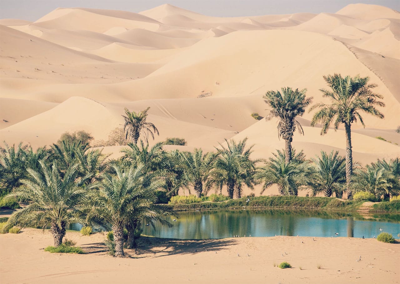 A Vibrating Hub for Exchange and Community